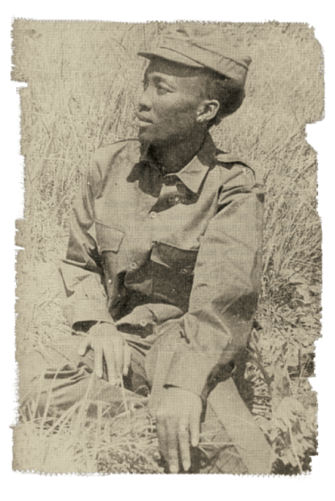 tumblr_miwcvt6td21r84pkto1_500