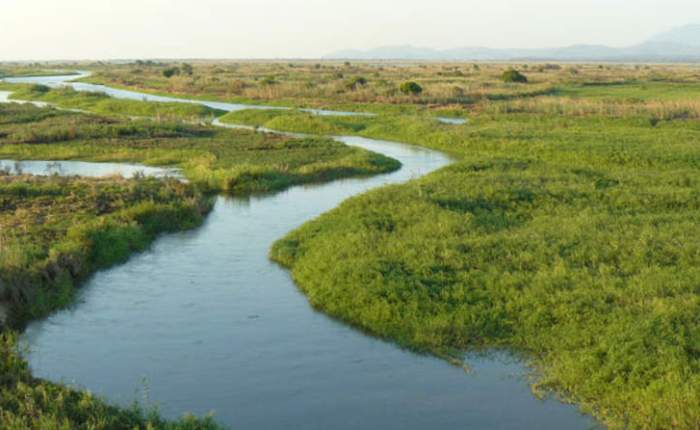 Choriro e a disputa pelo espaço